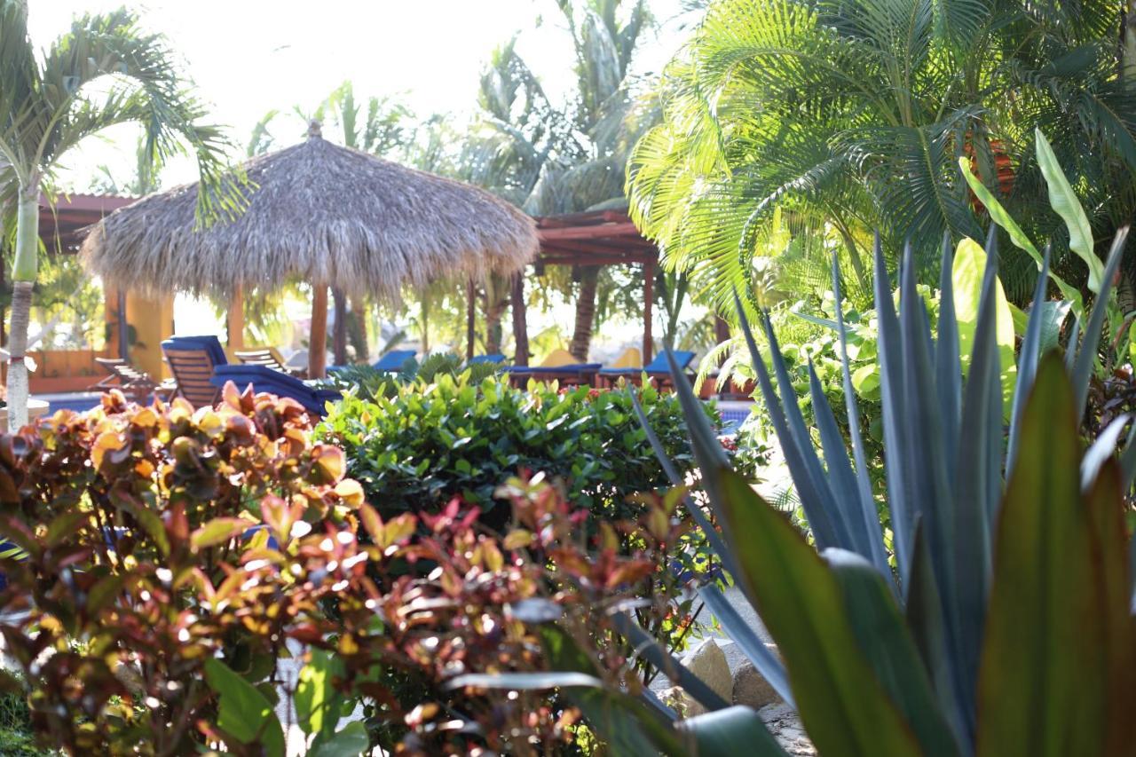 Meson De Mita 3* Punta Mita