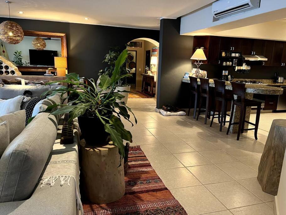 Luxury Beachfront In Punta De Mita! Apartment