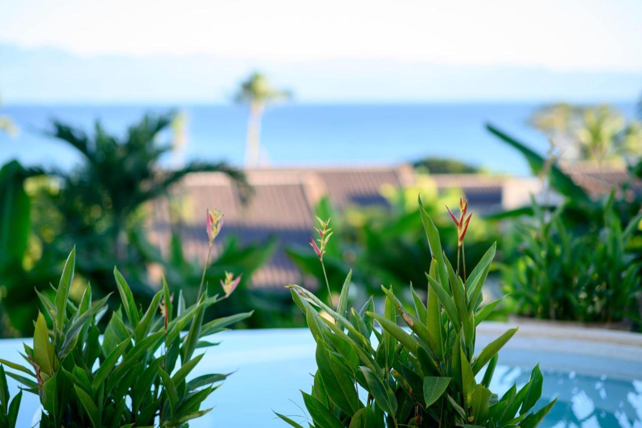 Alamanda In Lagos Del Mar *