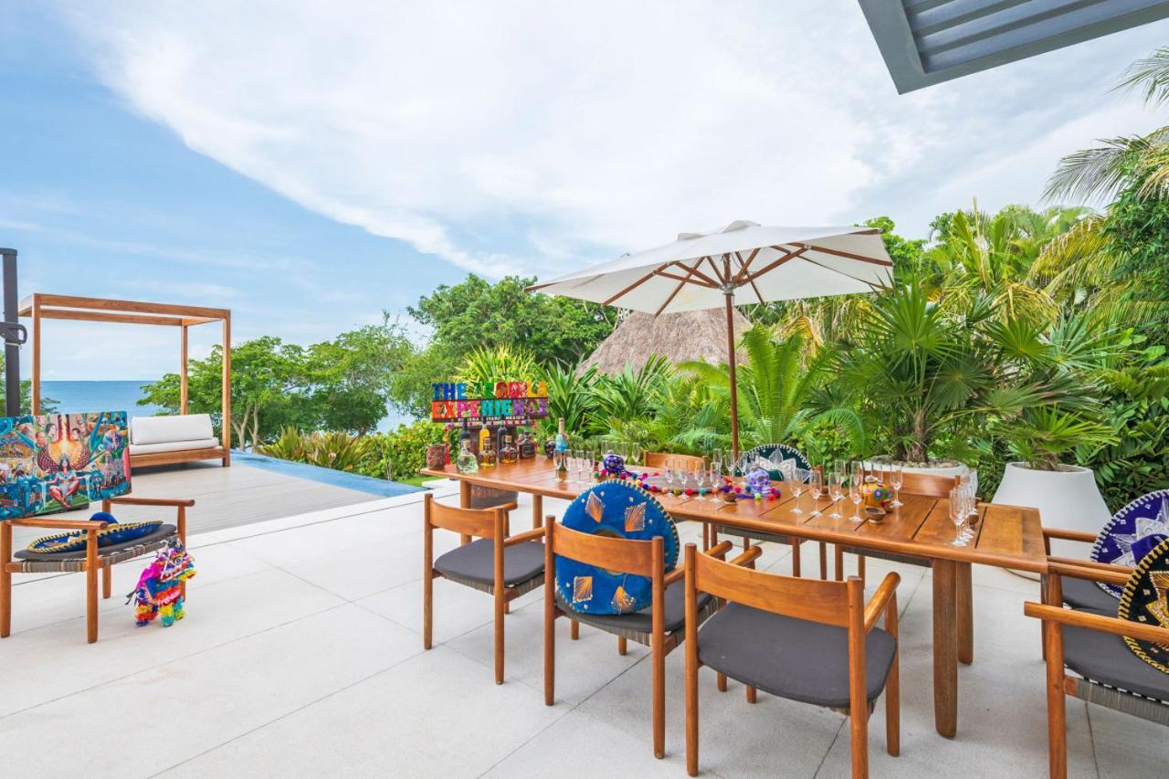 Ara In Marietas Punta Mita