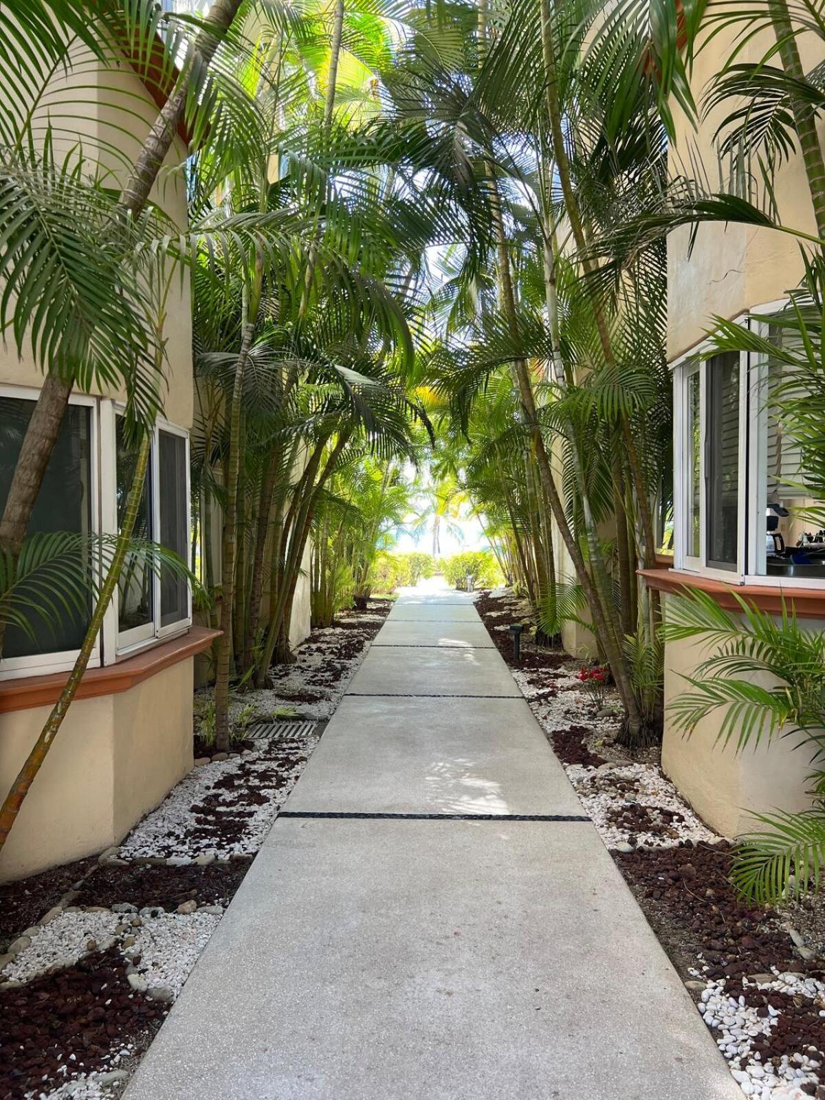Penthouse In Punta De Mita! Apartamento *