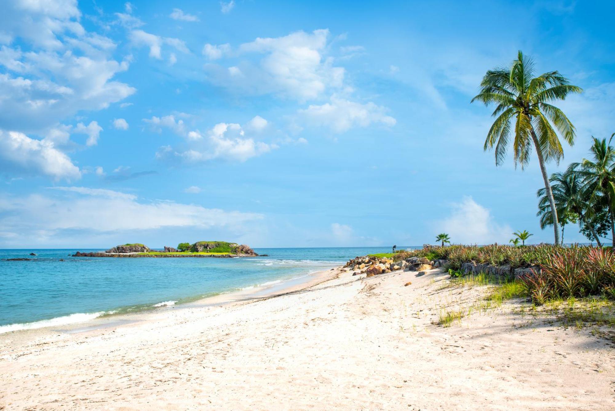 Surf Residences - Ocean View Luxury In Punta Mita