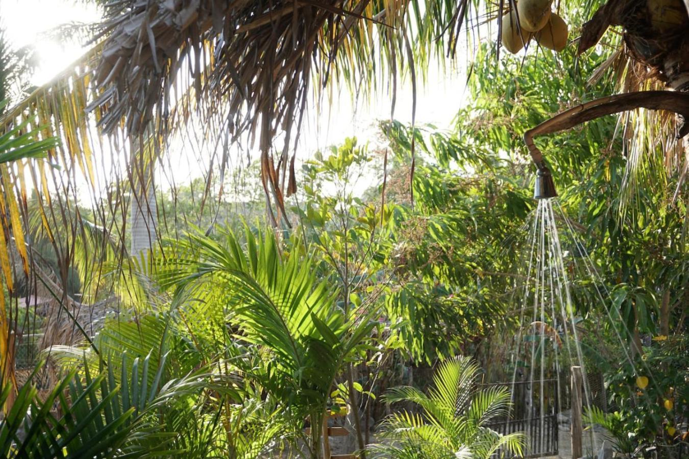 Apartment Surf - Solsurf House Mita