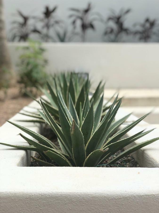 Casamia Kupuri Estates, Villa Punta Mita