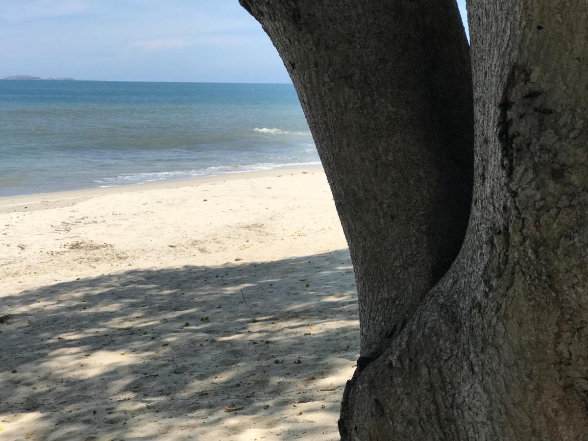 Beachfront Bolongo *