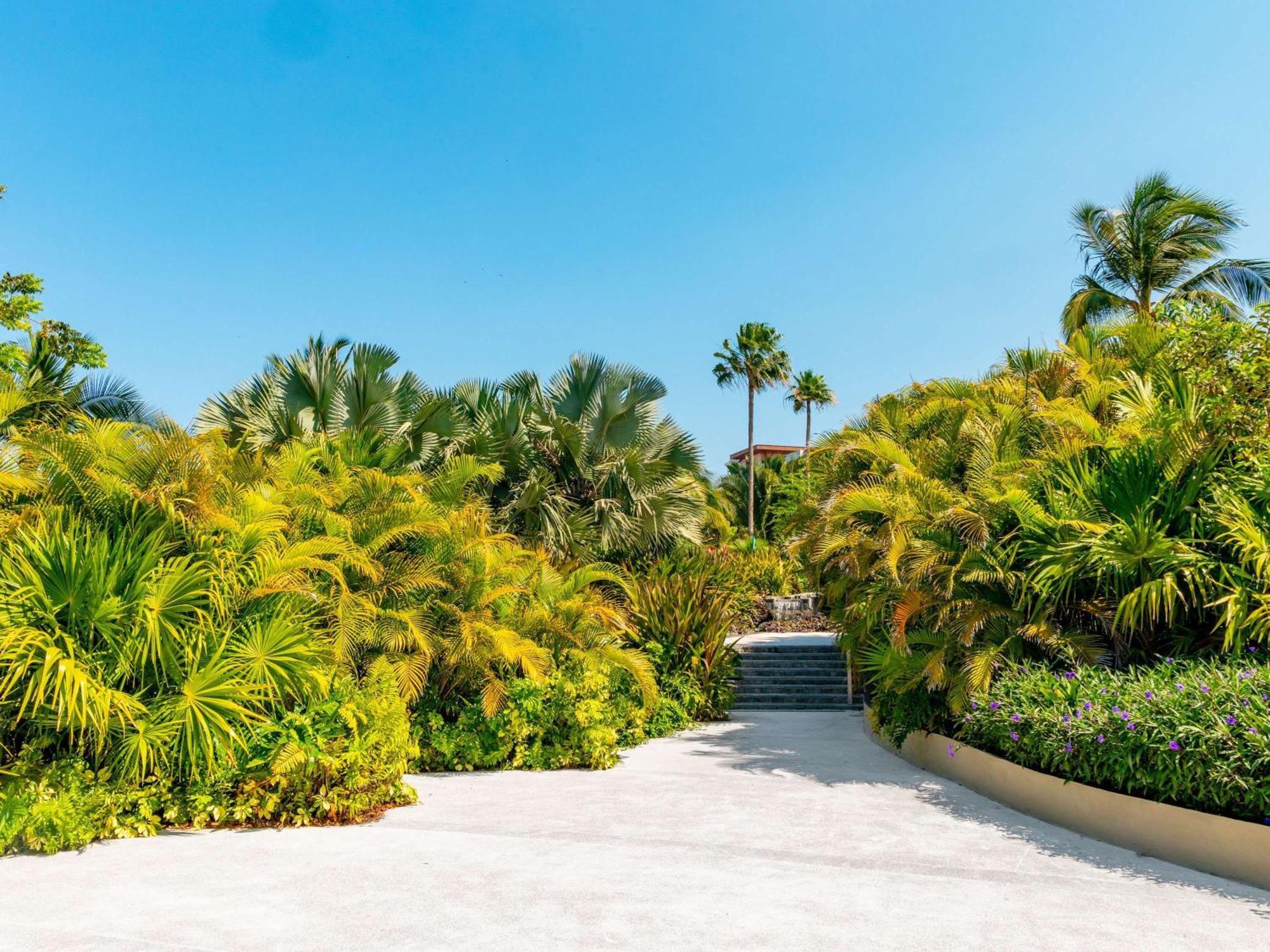 Armony Marival & Punta De Mita - Mgallery Collection (adults Only) Resort Punta Mita